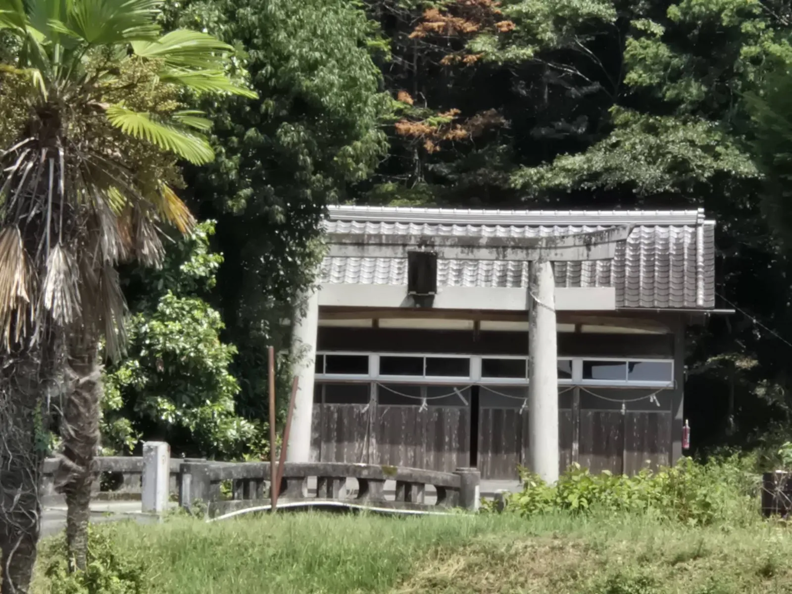 田園側から鳥居と社殿を望む。