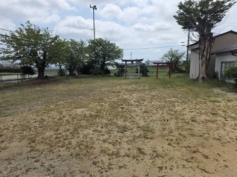 社殿から鳥居方向へ広がる境内。