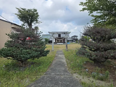 植栽に沿って鳥居へ続く参道。