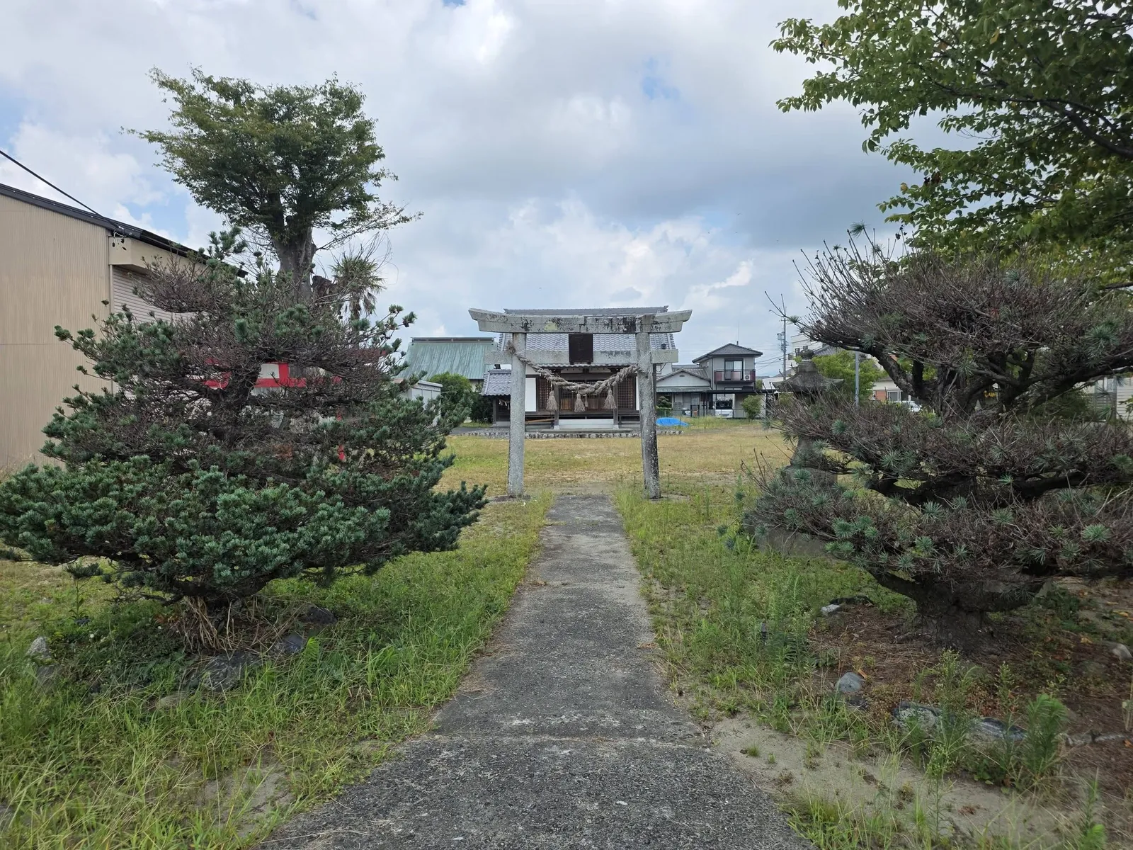 植栽に沿って鳥居へ続く参道。
