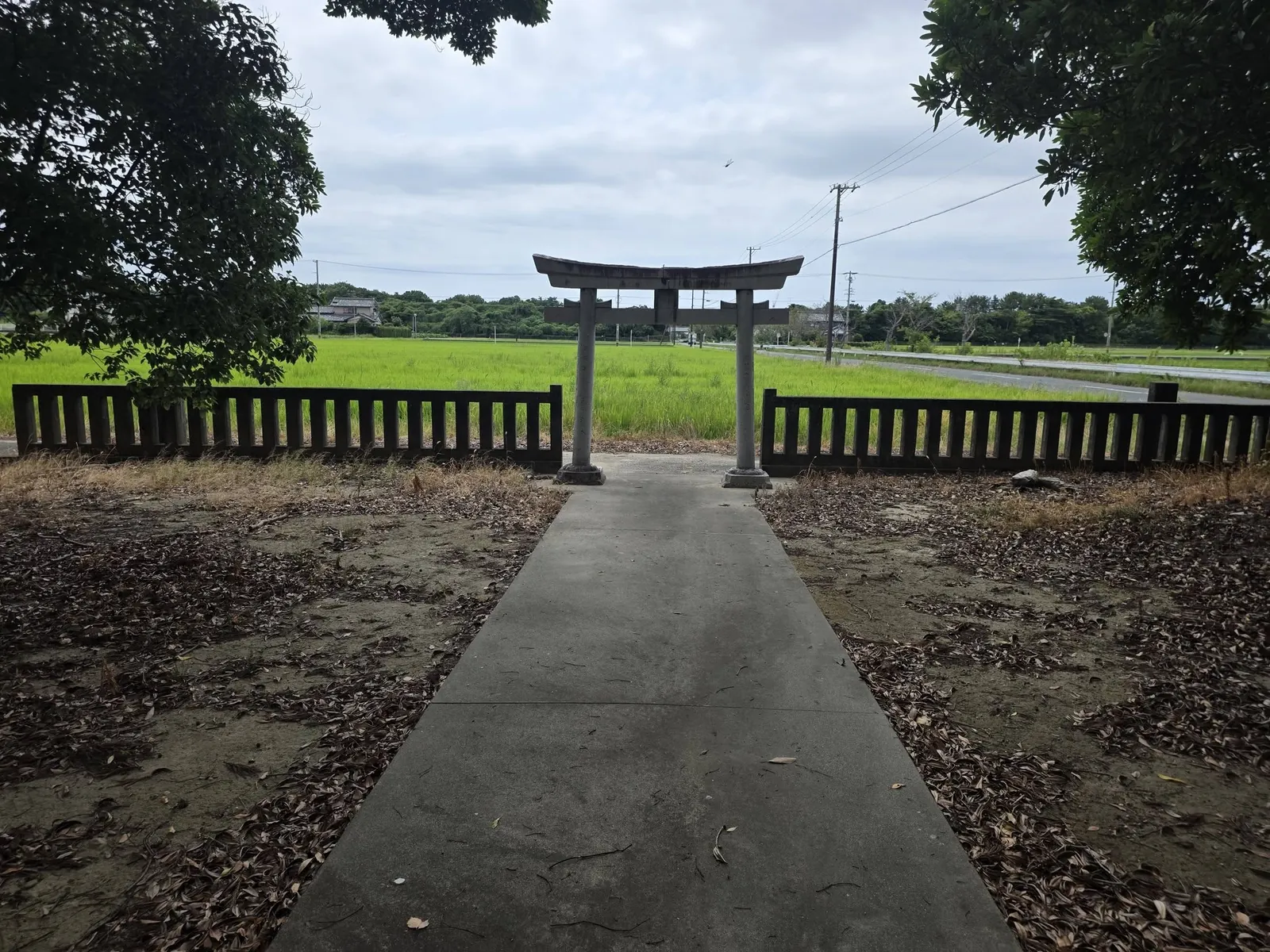 社殿側から参道と石造鳥居を望む。