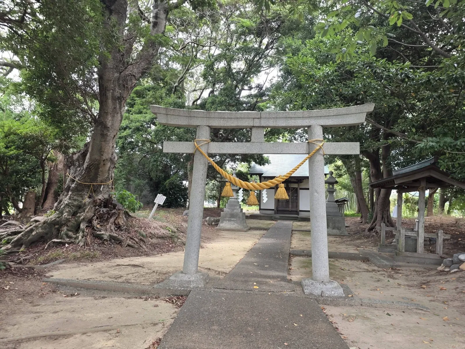 石造鳥居の正面から諏訪神社の社殿を望む。