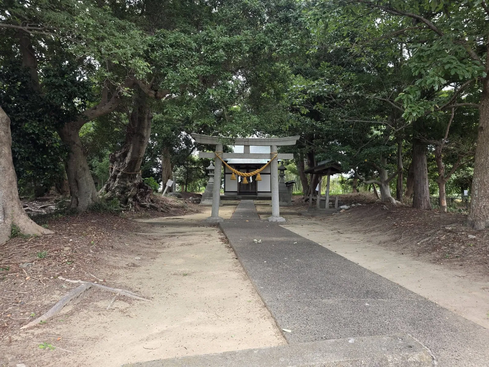 境内入口から鳥居と社殿へ続く参道。