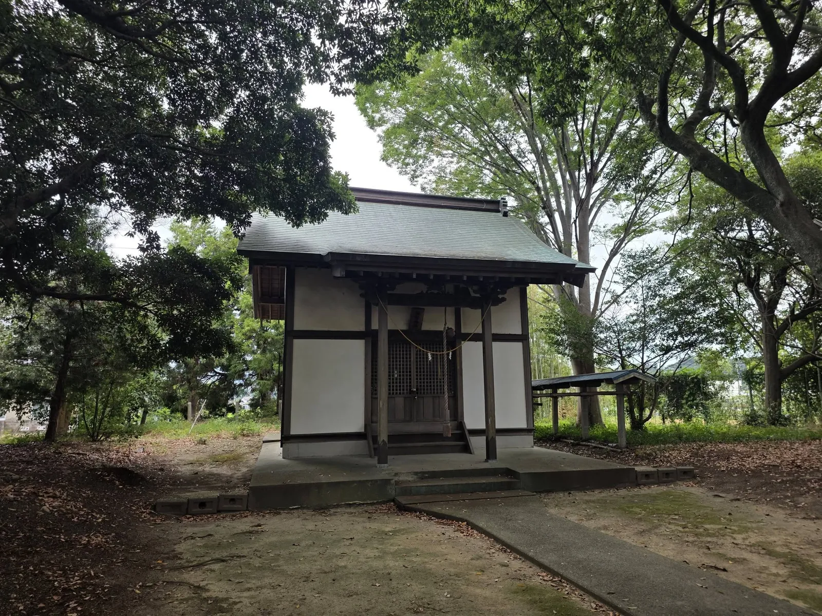 斜めから見た諏訪神社の社殿。