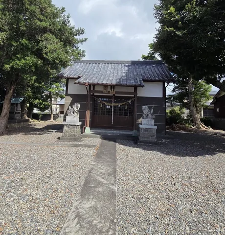 玉砂利を敷いた境内と大木、正面に建つ社殿。