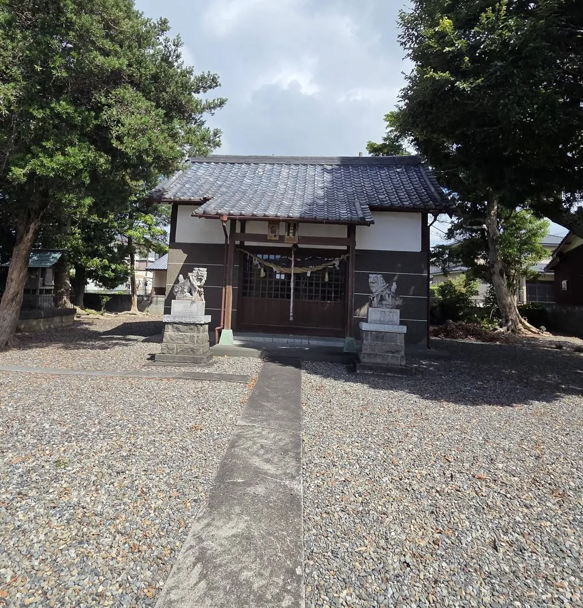 玉砂利を敷いた境内と大木、正面に建つ社殿。