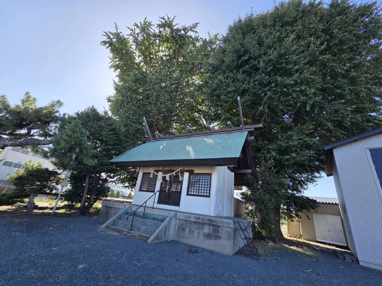 社叢の大木を背に建つ高根神社の社殿。