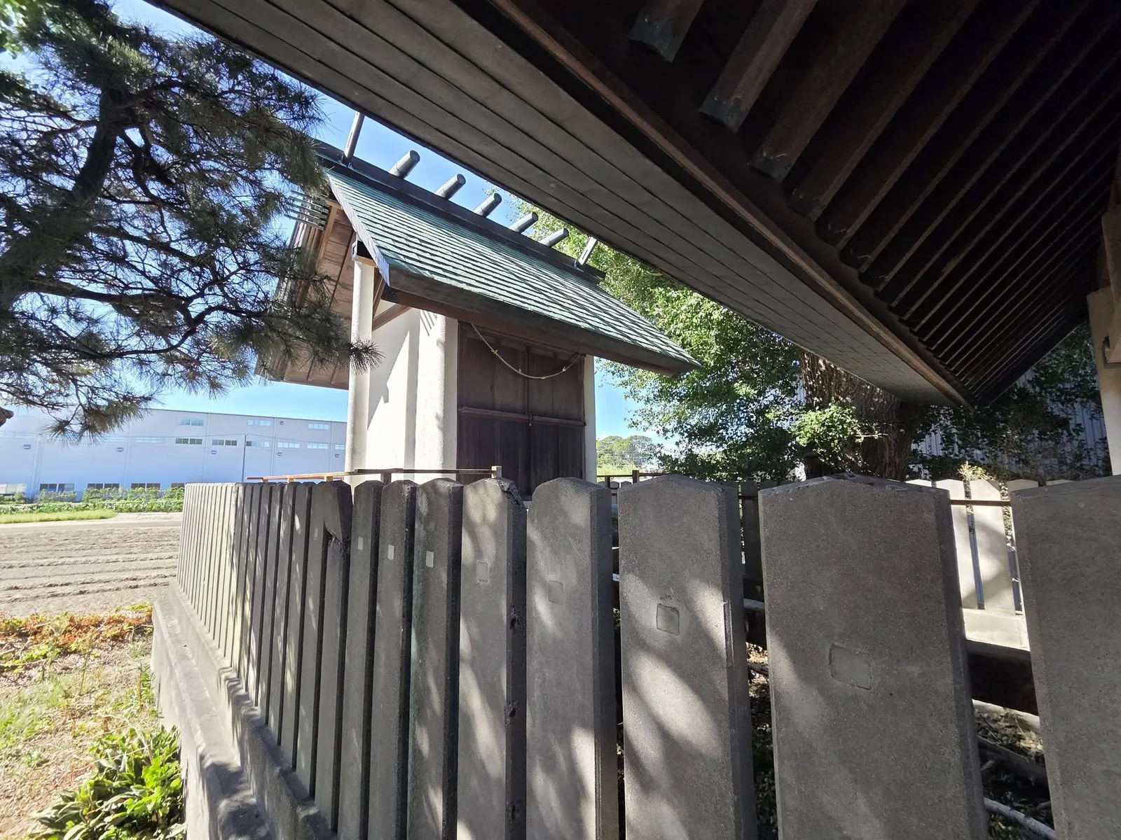 境内の建物と囲いの間から社殿を望む。