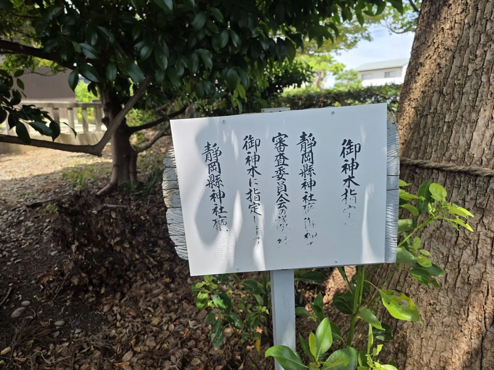 境内の祭神掲示。御祭神と宗像霊尊などを記す。
