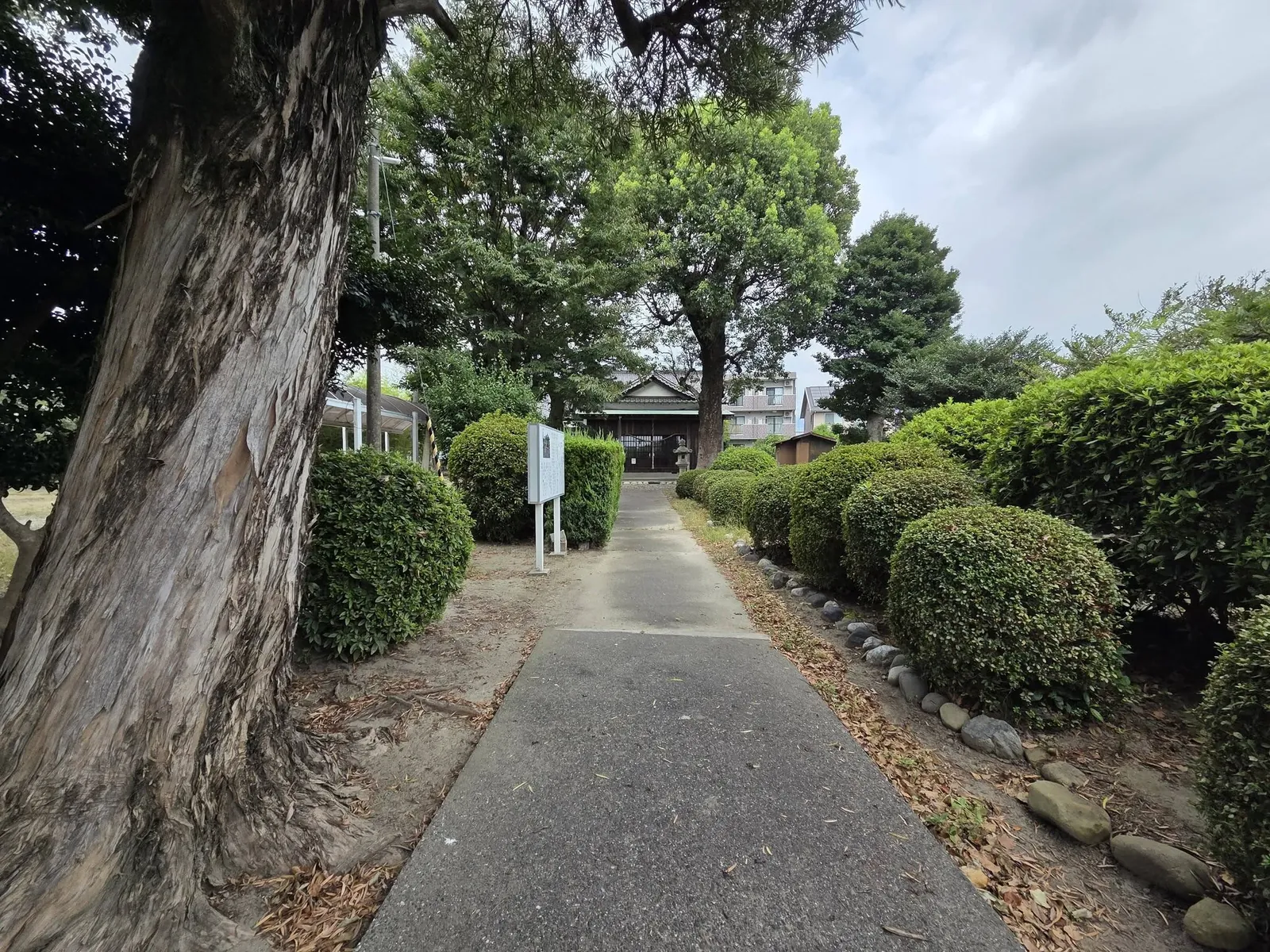 石造鳥居から社殿へ続く参道。