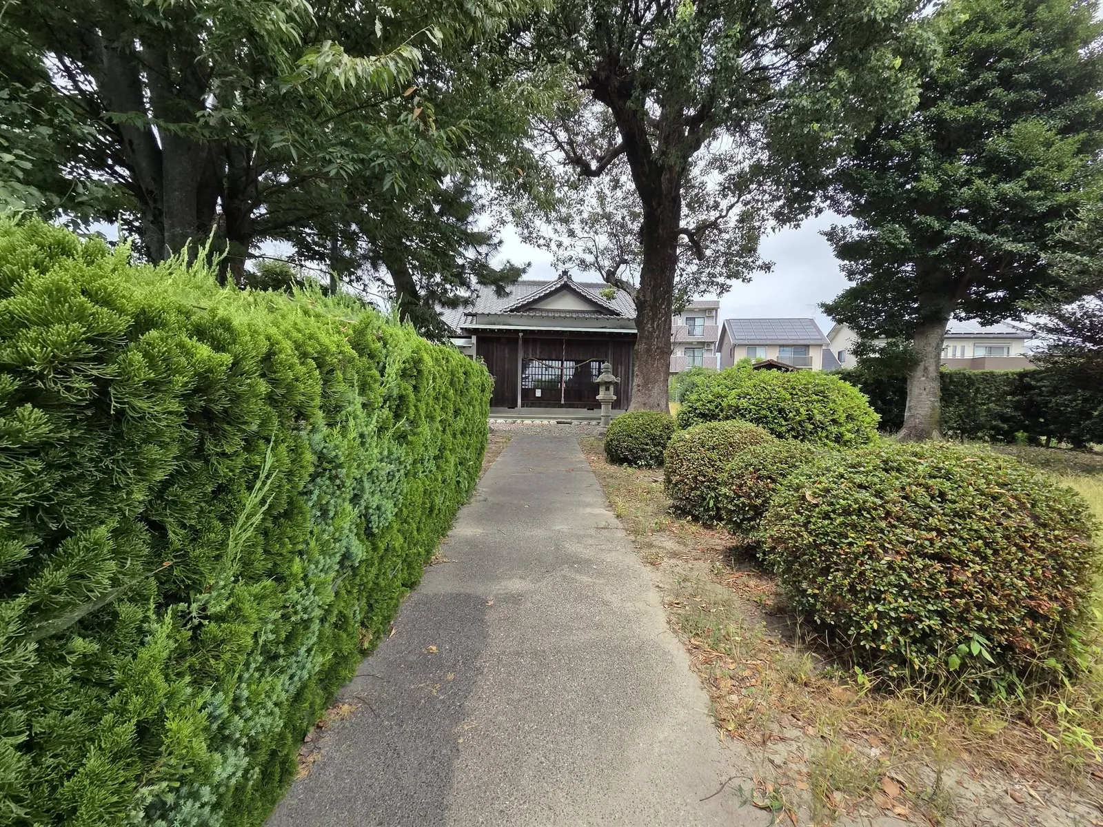 生垣の間を社殿へ延びる参道。