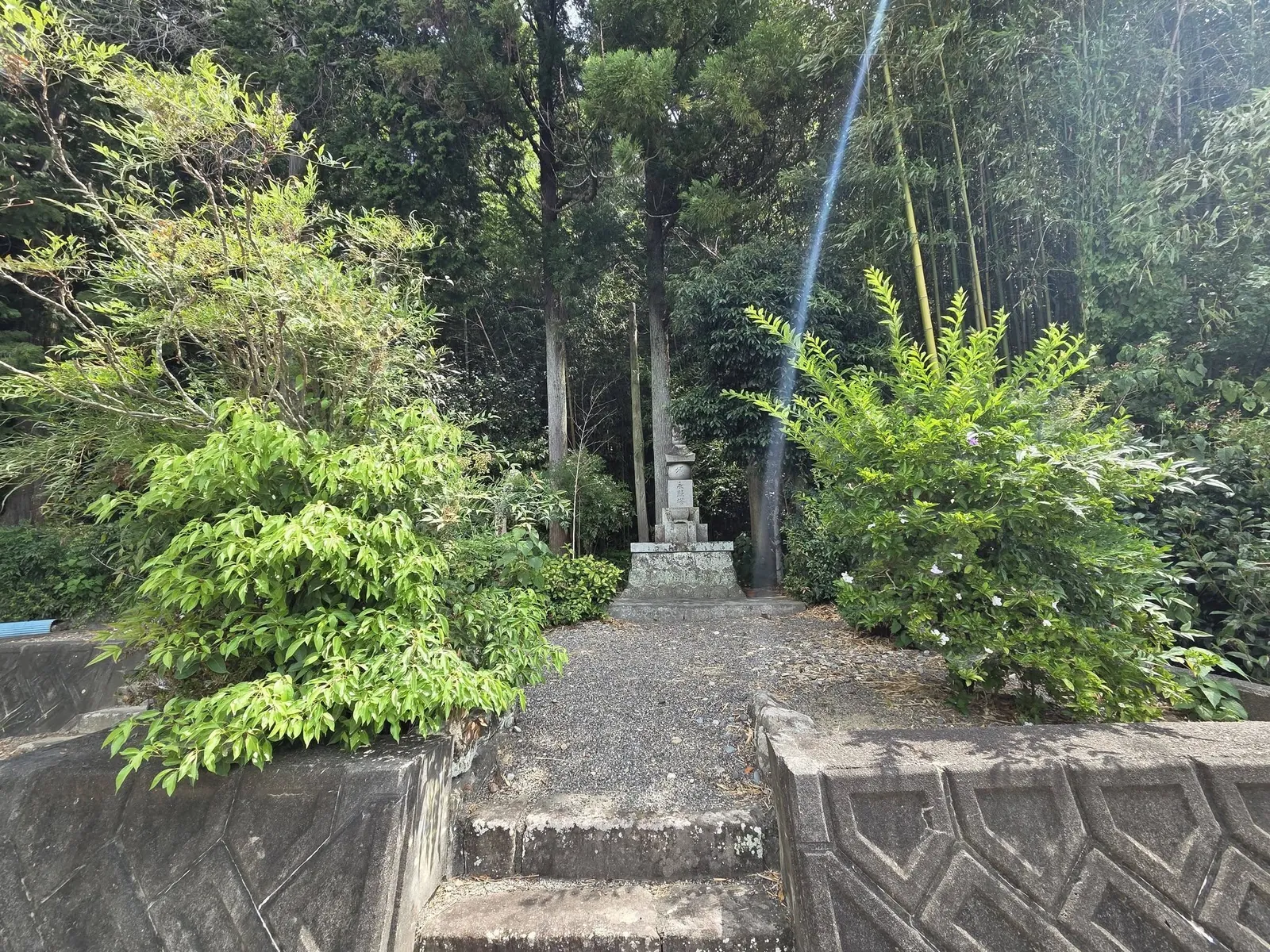 木立に囲まれた石段と参道。