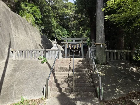 石段の参道下から見た境内。社叢の奥に鳥居と社殿が見える。