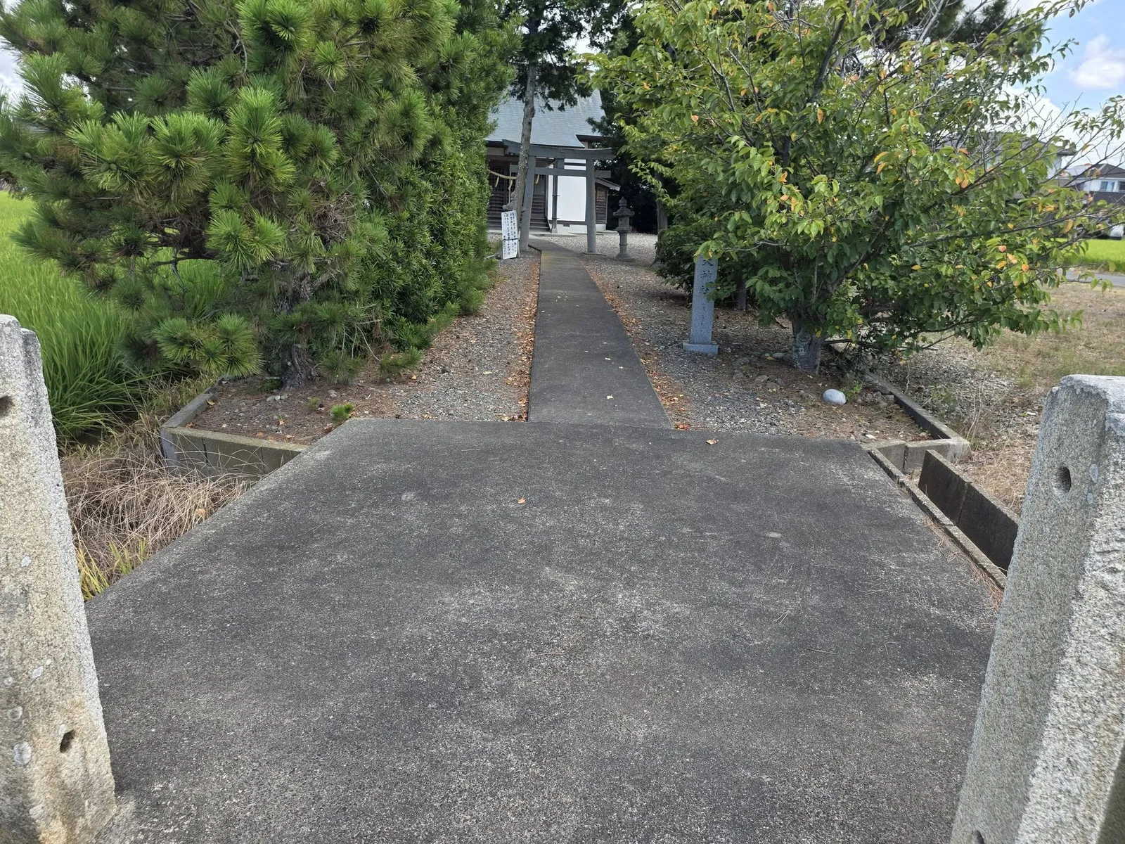 道路側から見た天神社の参道入口と社叢。