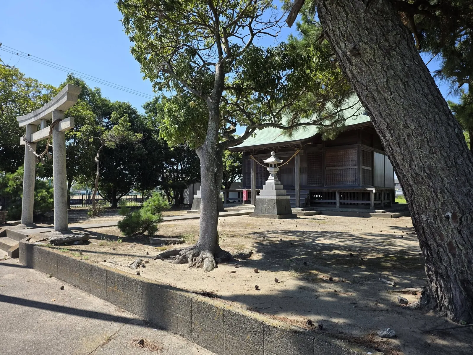 道路側から見た天白神社の社殿と境内。