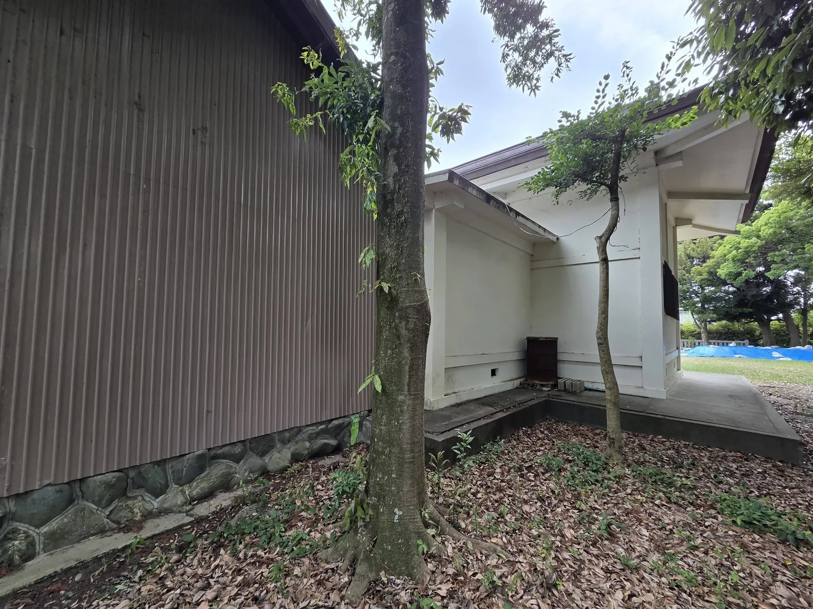 社殿側面と境内脇の建物。