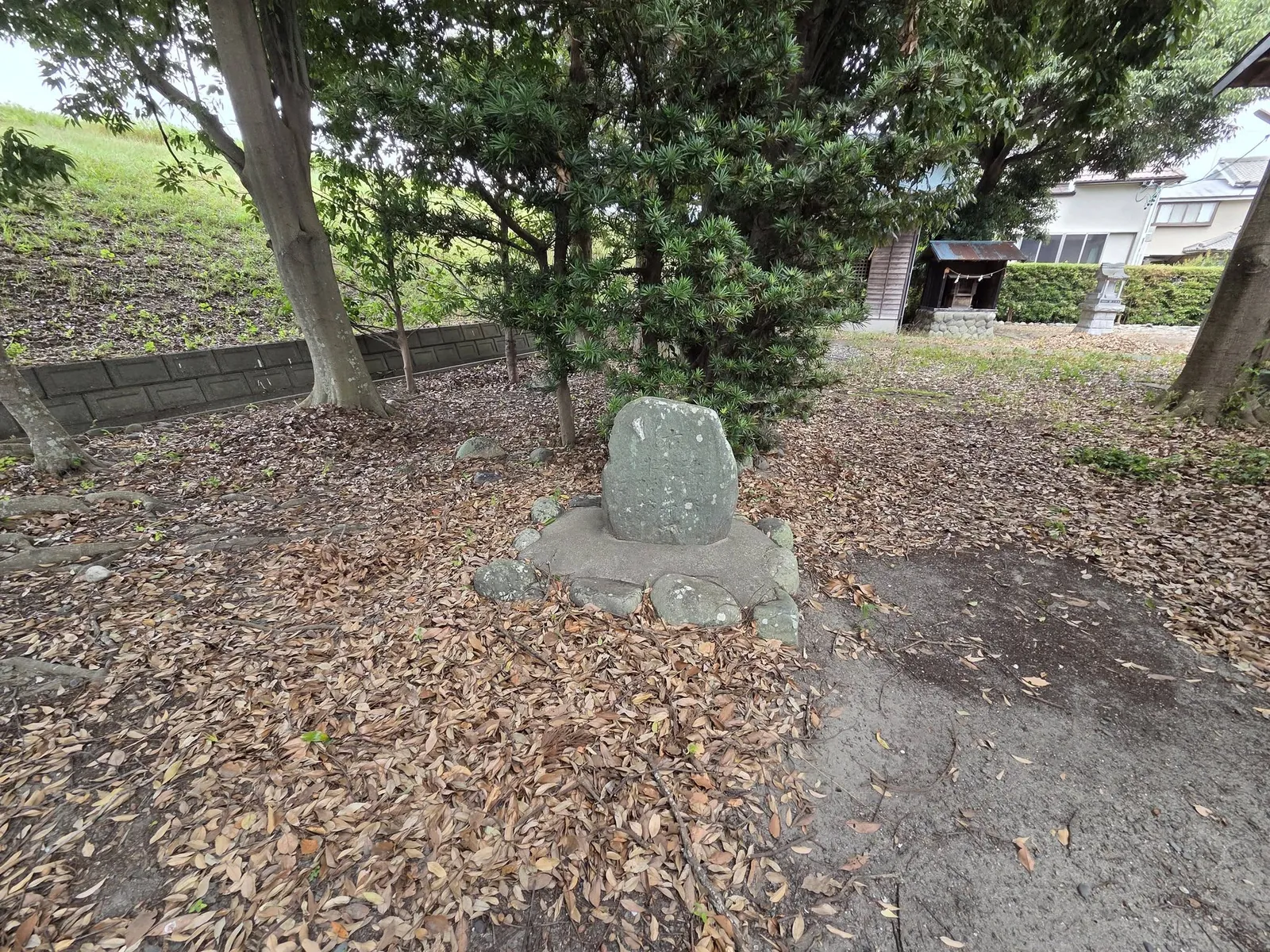 境内の石碑と周囲の社叢。
