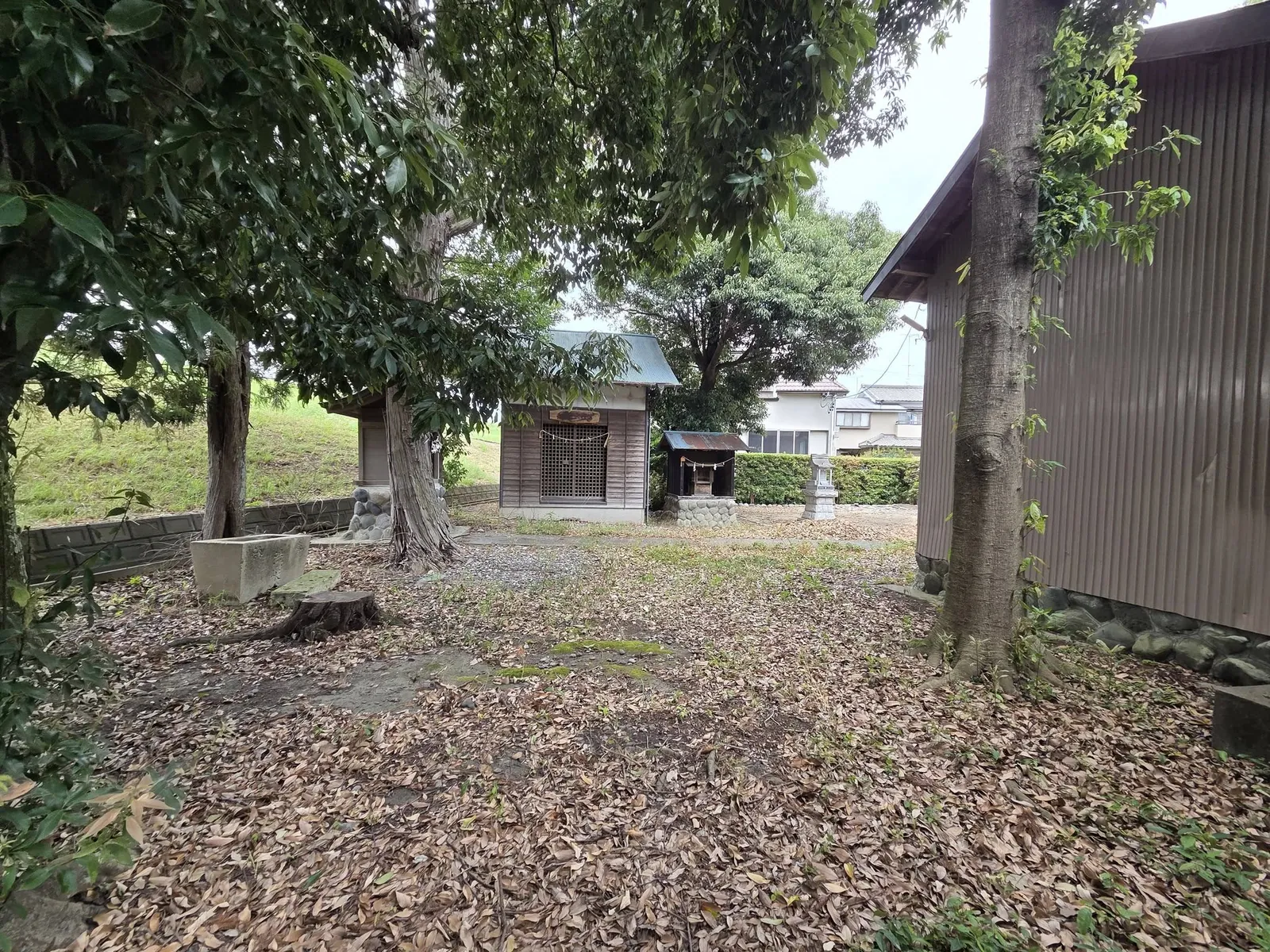 社殿脇から見た境内と社叢。