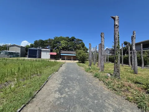 境外から境内へ続く参道。