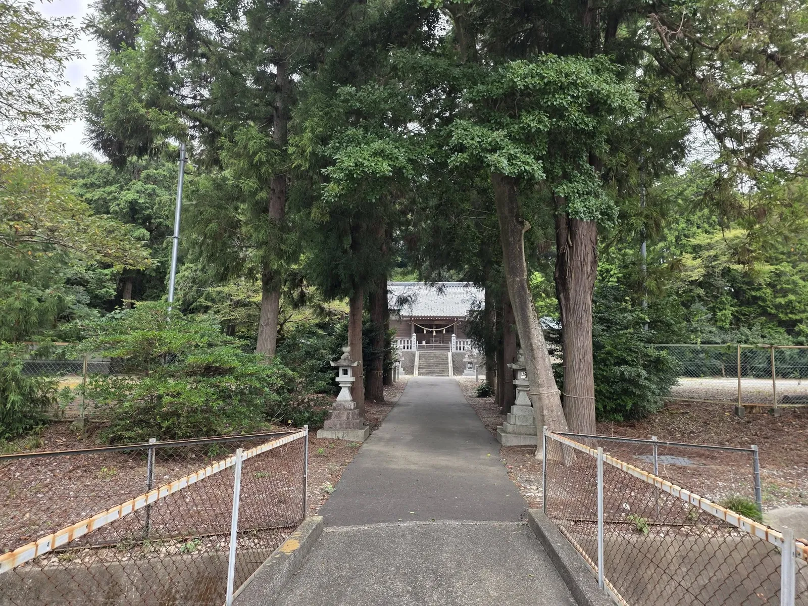 境内中段から社殿方向を見る参道。杉並木の奥に社殿が立つ。