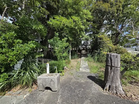 参道入口の手水鉢。「奉納」「春」の文字が刻まれ、奥に鳥居と社殿が見える。