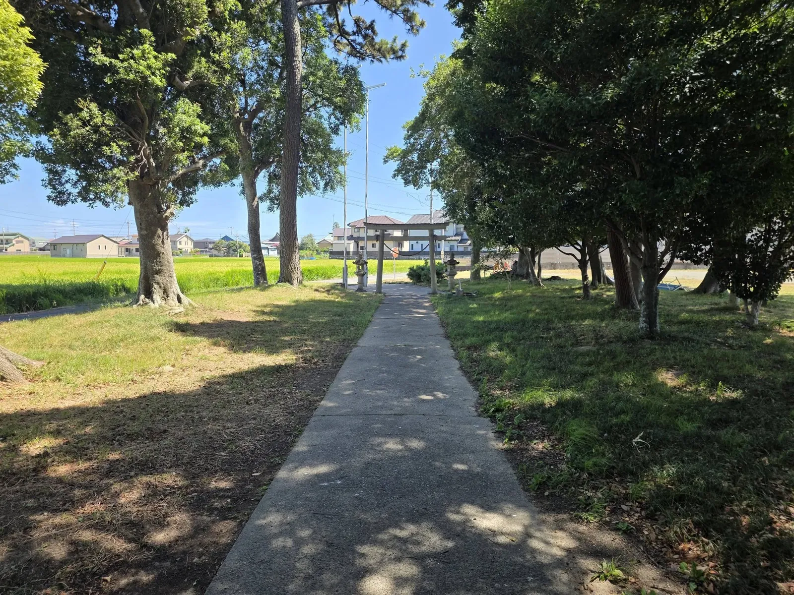 社殿側から鳥居方向へ延びる参道。