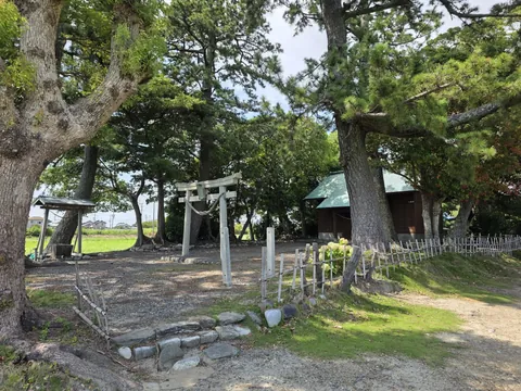 若宮八幡神社：境内の樹木と石造鳥居、奥の社殿を望む。