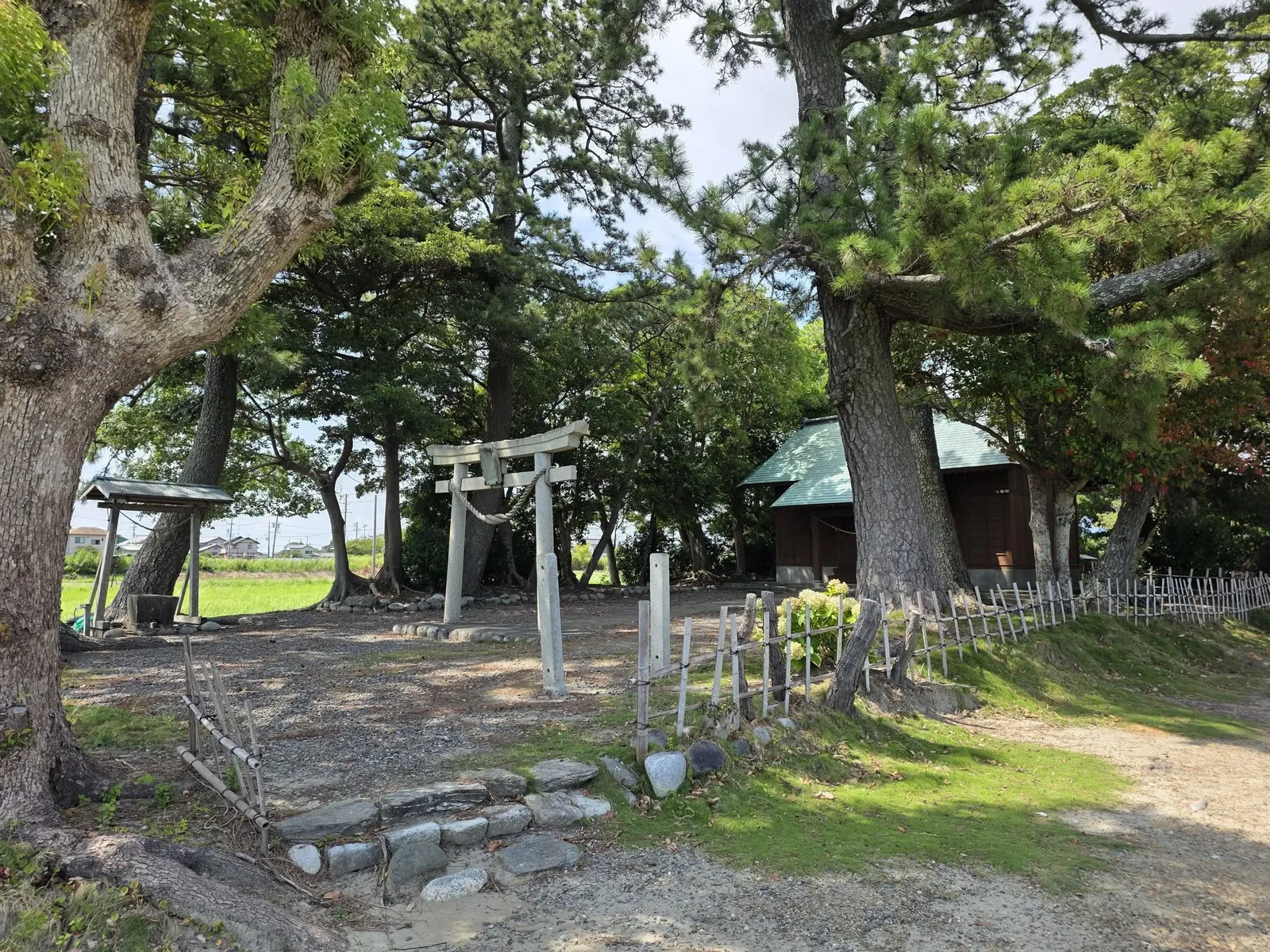 境内の樹木と石造鳥居、奥の社殿を望む。