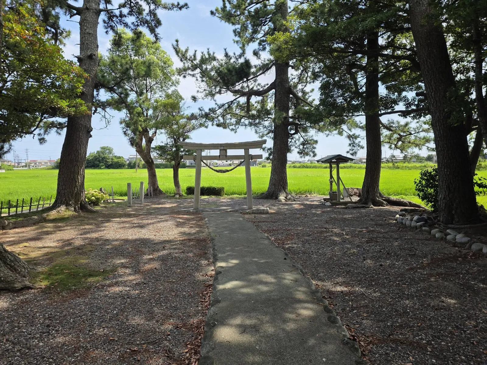 社殿側から鳥居方向を望む。