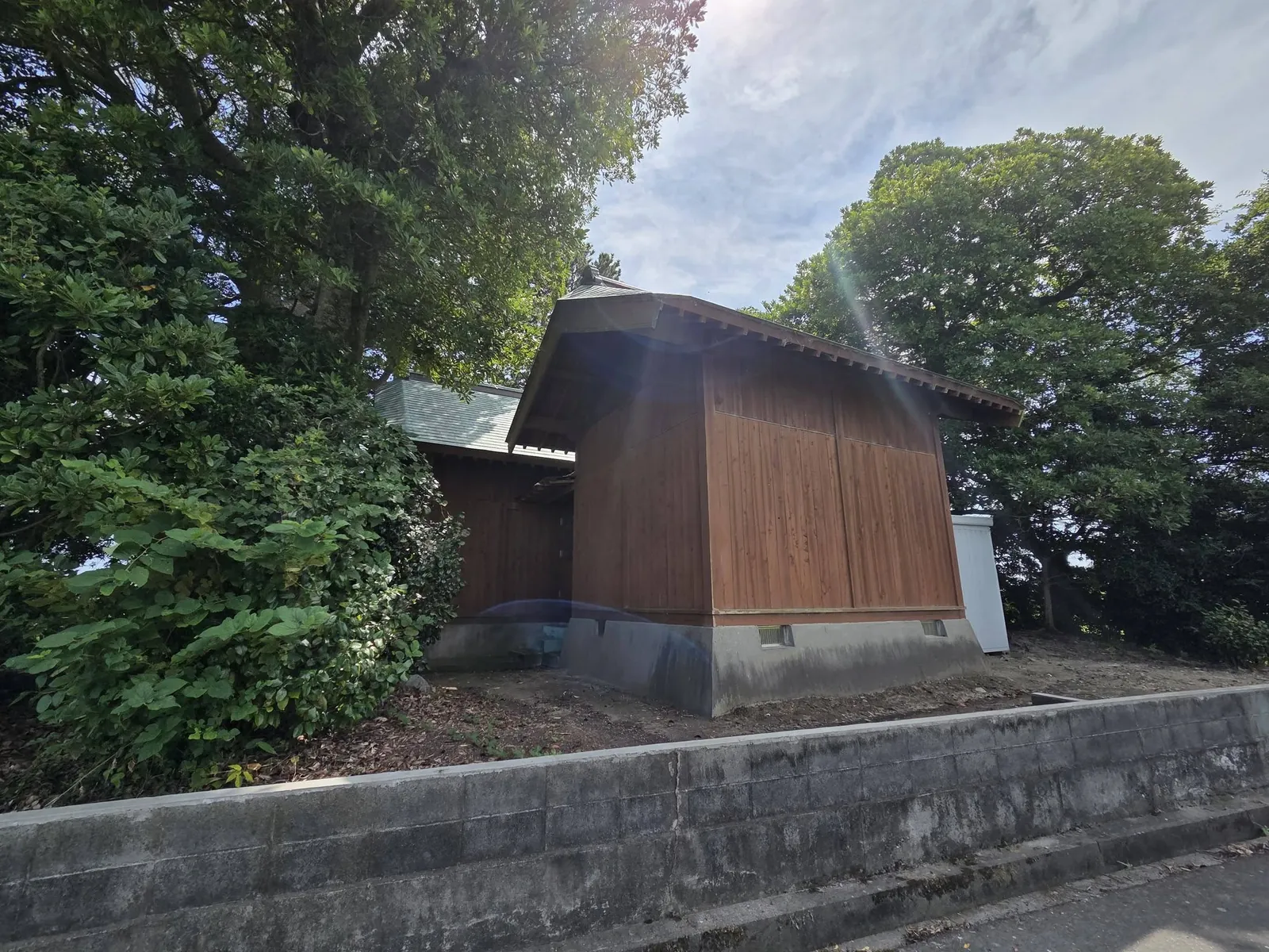 道路側から見た社殿側面と社叢。