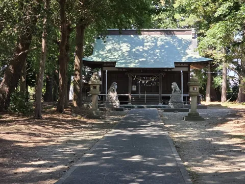 八雲神社：杉木立の参道正面から見た八雲神社の拝殿。