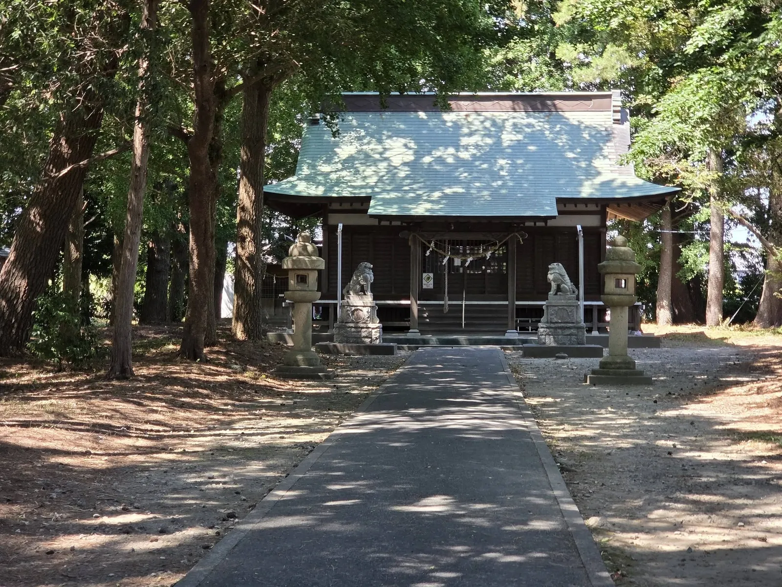 杉木立の参道正面から見た八雲神社の拝殿。