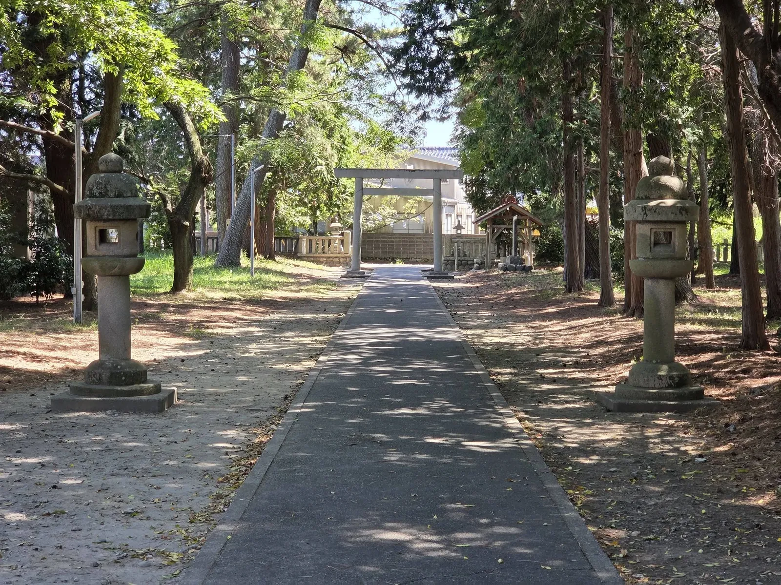 石灯籠の間を通り鳥居へ続く参道。
