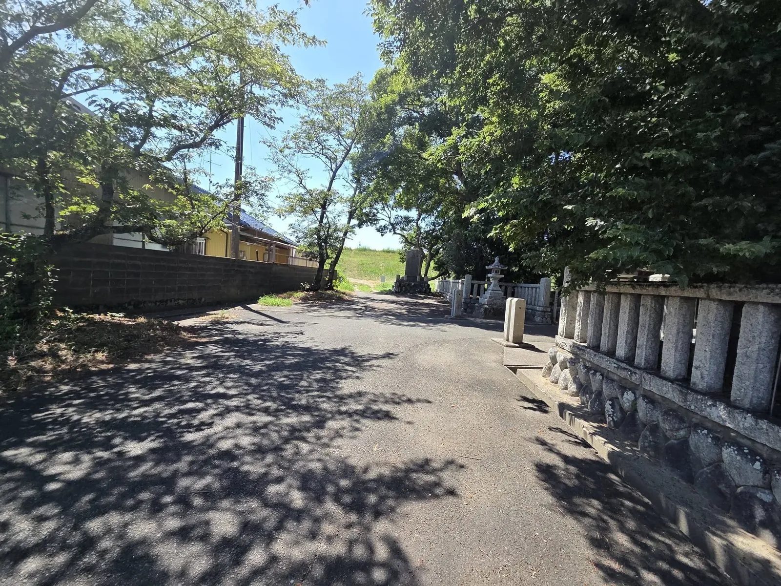 天竜川堤防側から見た八雲神社の境内。