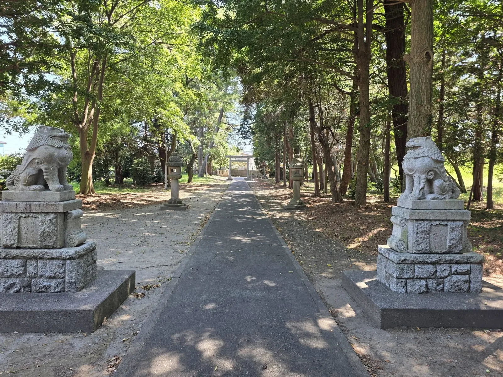 狛犬と杉木立に囲まれた参道。