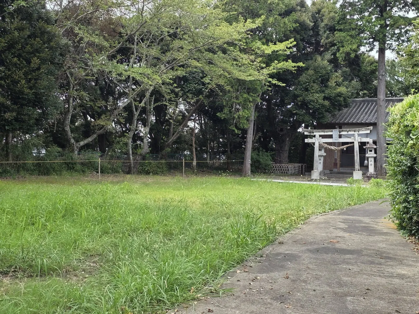 草地の参道から鳥居と社殿を望む。