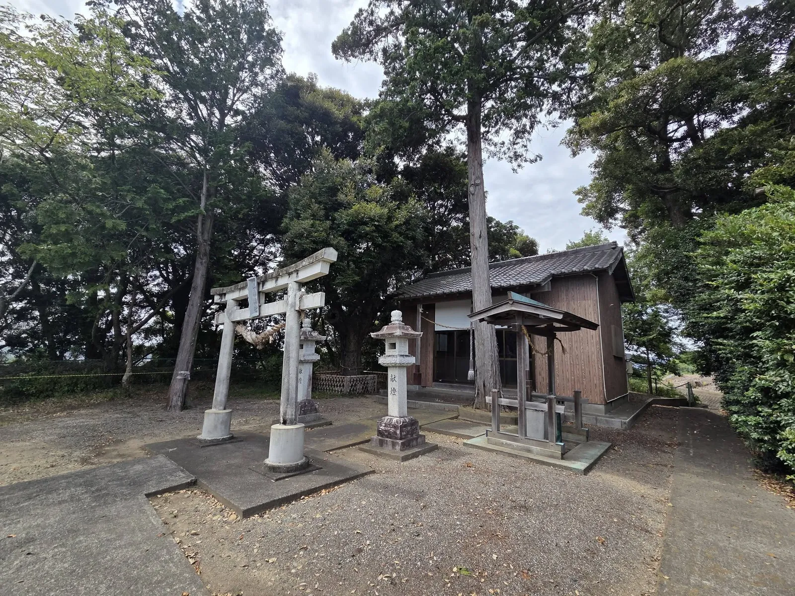 境内を斜め前から見た社殿と鳥居。