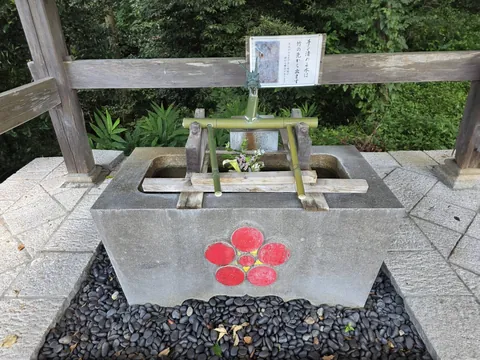 手水舎の水盤。梅鉢紋を朱で彩り、竜の口から竹樋に水を落とす。