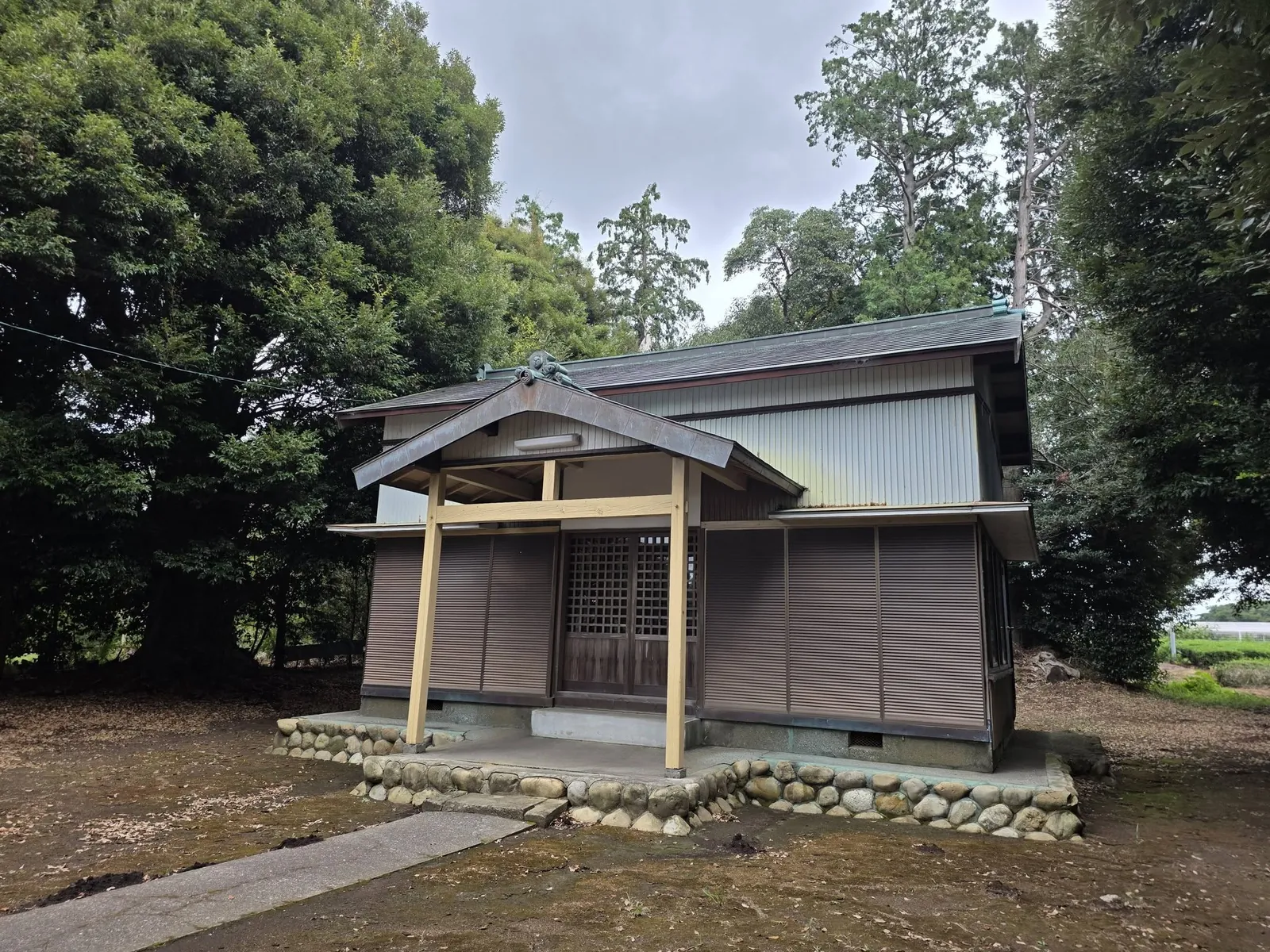 社殿を別角度から見る。建物背後に社叢が続く。
