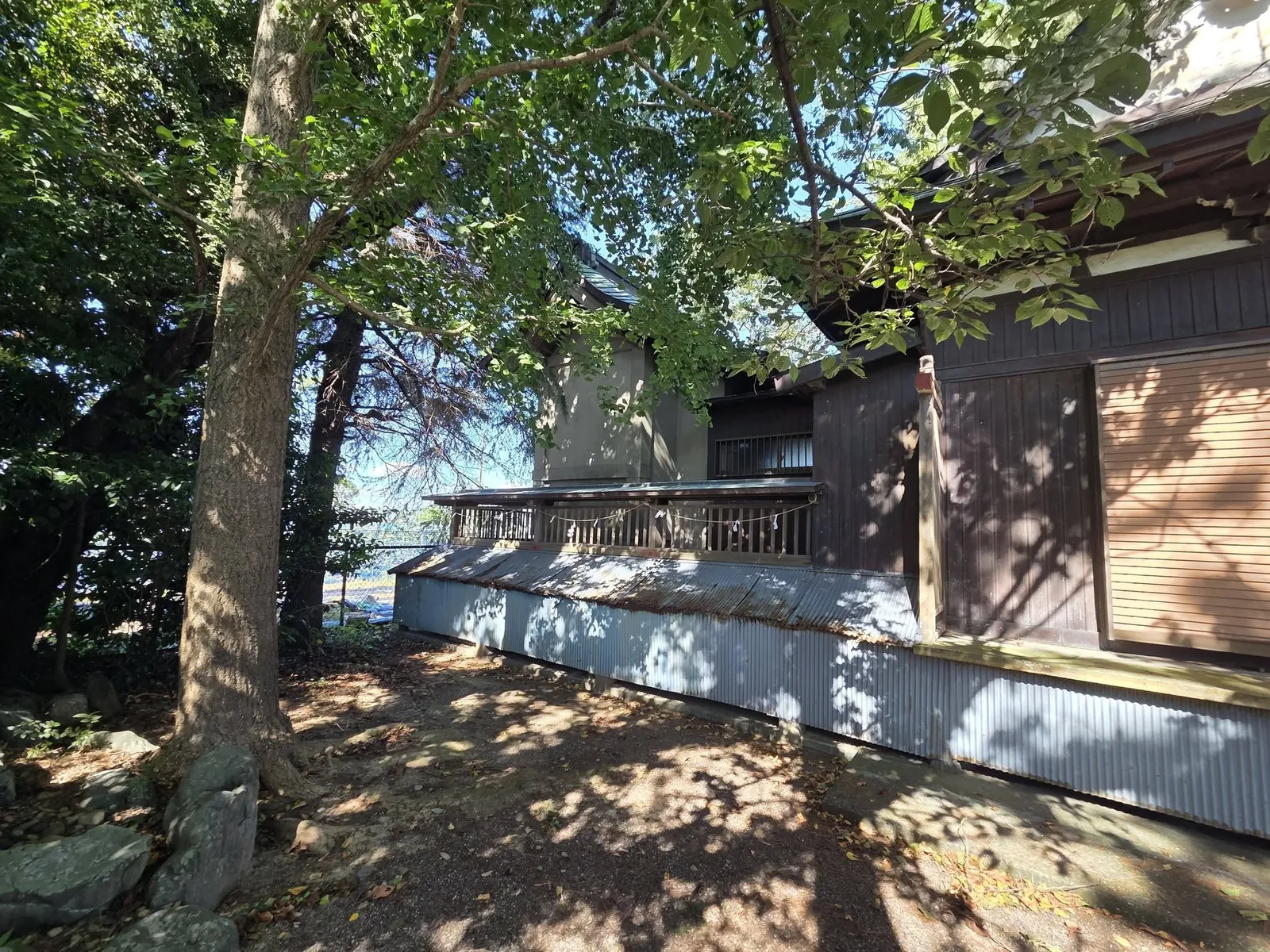 木立の中に建つ藏王神社の社殿を側方から見る。