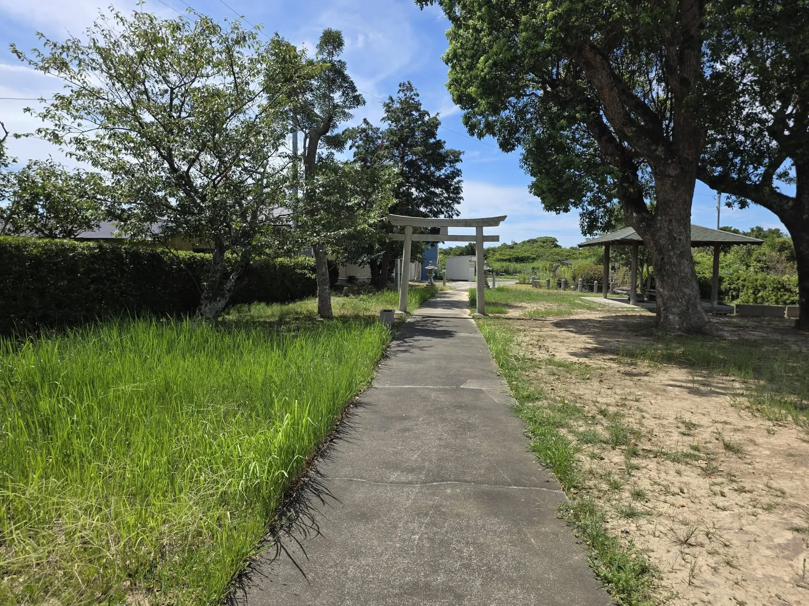 水田沿いの参道正面に石造鳥居が立ち、その奥に四阿の屋根がのぞく。