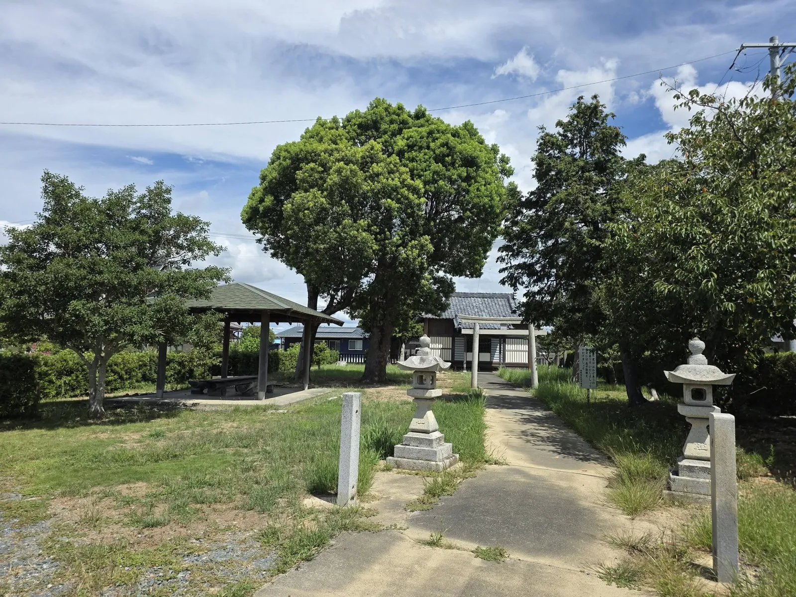 大木と四阿の奥に鳥居越しの社殿を望む境内全景。